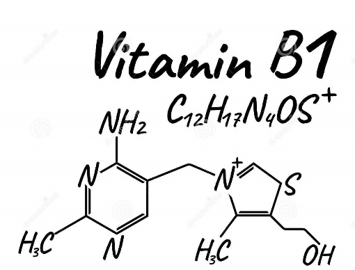 Molecular structure of vitamin b1