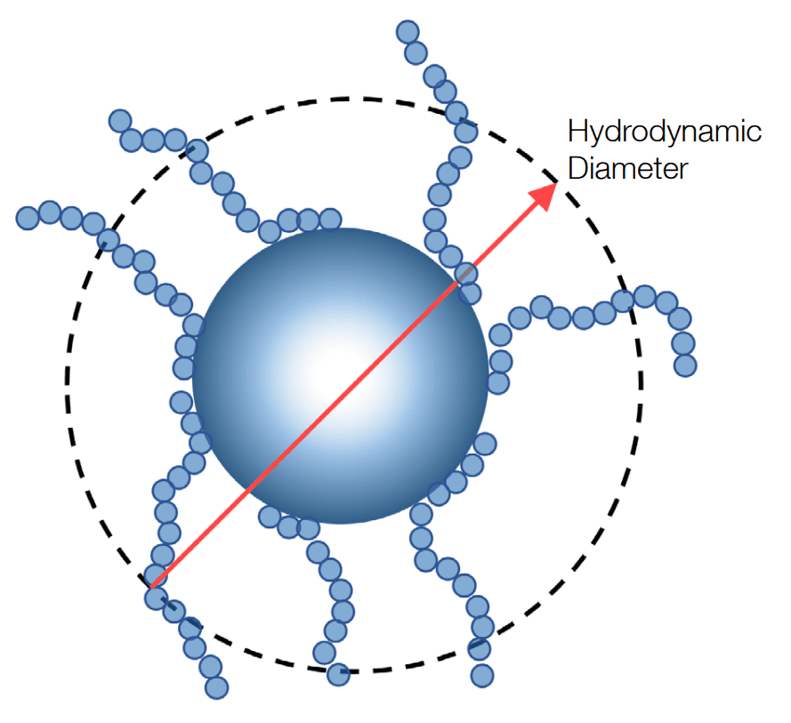 Illustration of hydrodynamic radius