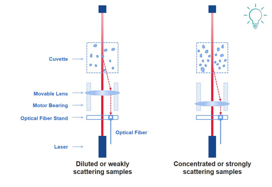 What is DLS backscattering technique