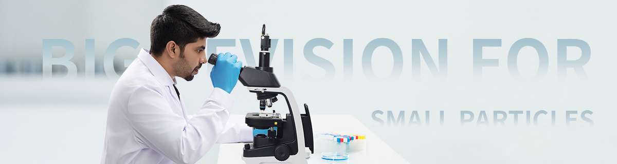 Bevision-S1 Classical and Versatile Static Image Analyzer 