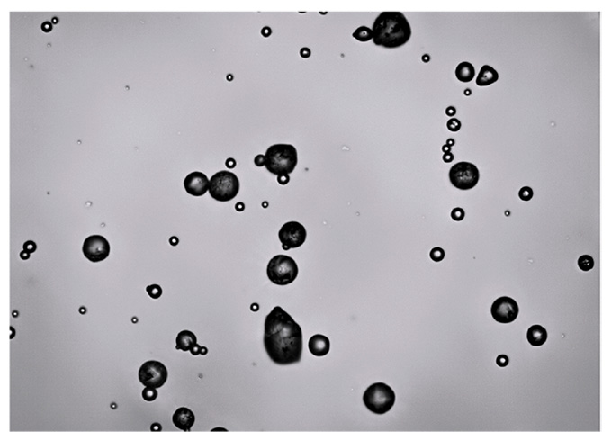 Figure 6. Particle image of aluminium oxide powder