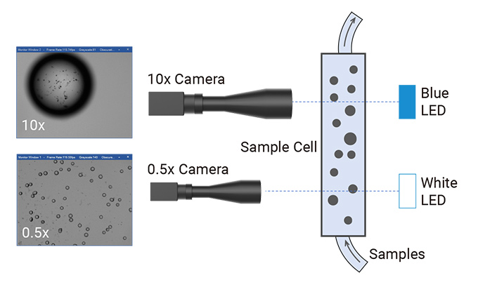 Dual-Camera-Imaging-System