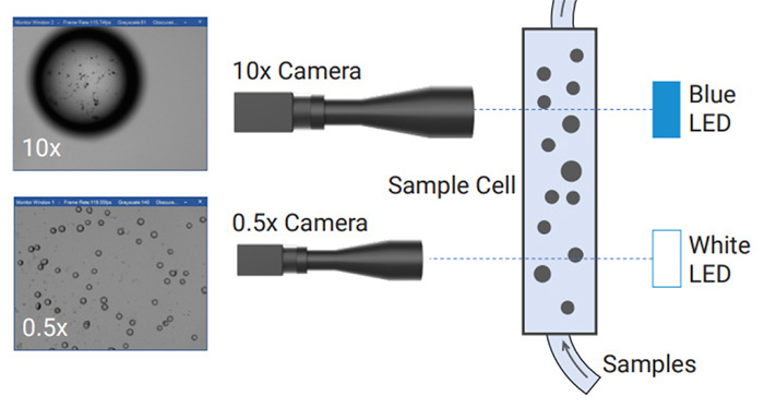 Fig6--Setup-of-the-PIC-1-dynamic-imaging-system