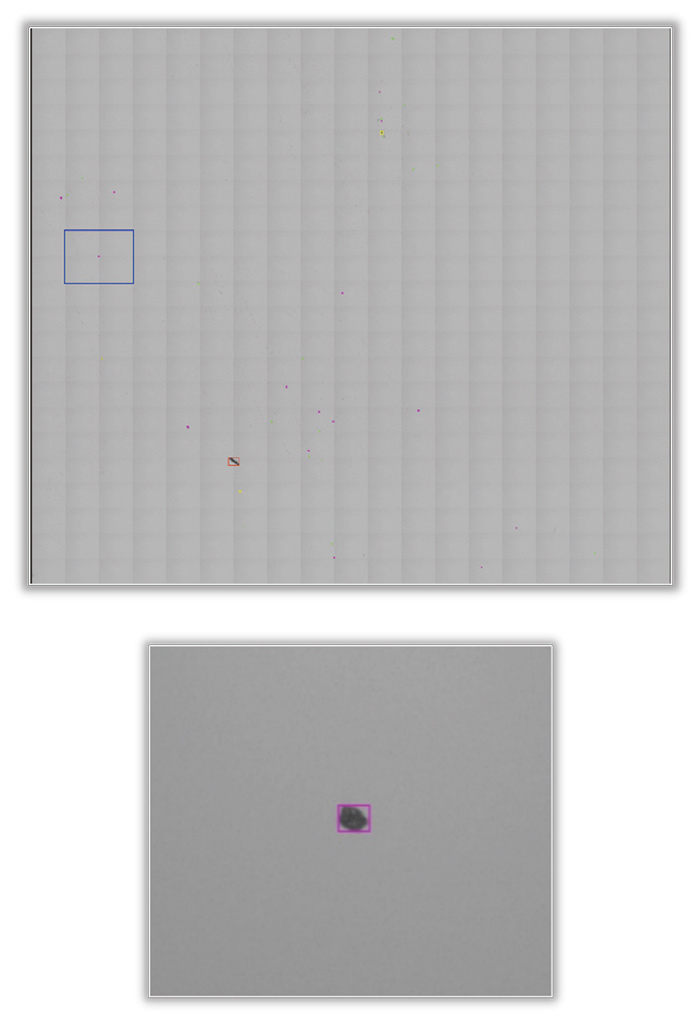 Figure-6-The-panoramic-image-and-the-local-image-of-re-scanning