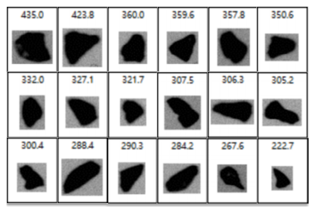 Figure 6. Camera images extracted from the individual particle list of a coarse abrasive powder (between about 500 and 200 µm)