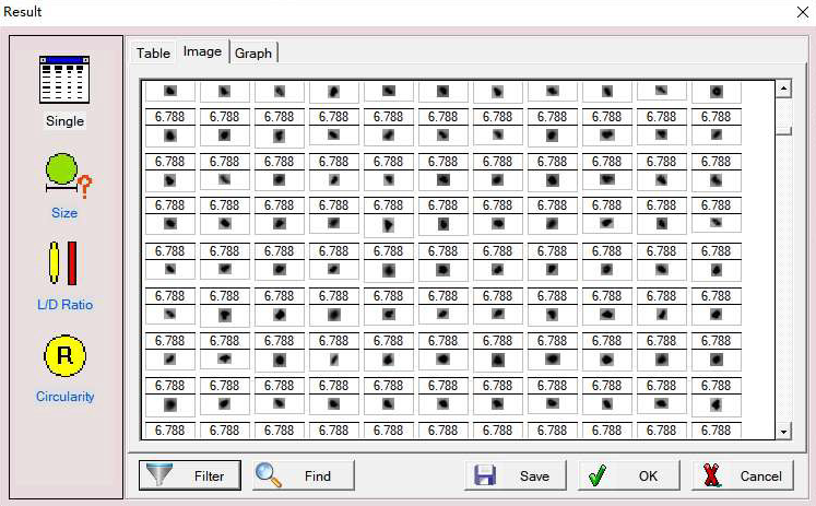 Dynamic image analysis of the cement