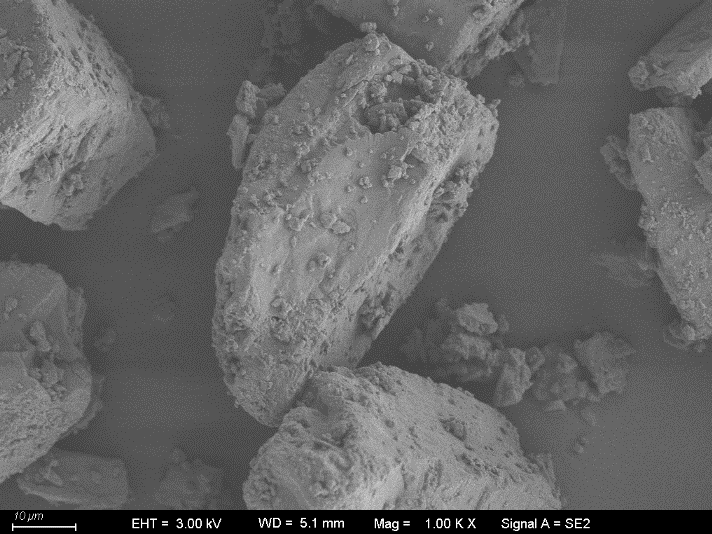 Particle image of No.2 micronized lactose sample