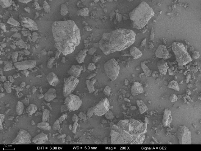 Particle image of No.2 micronized lactose sample