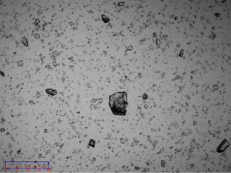 Image of non-micronized particles