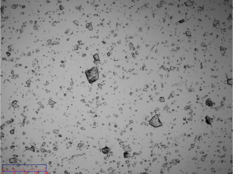 Image of non-micronized particles