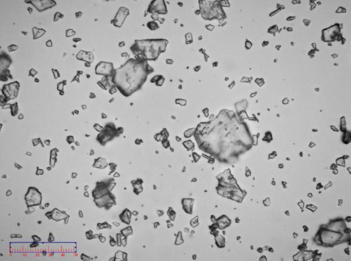 Image of non-micronized sample   