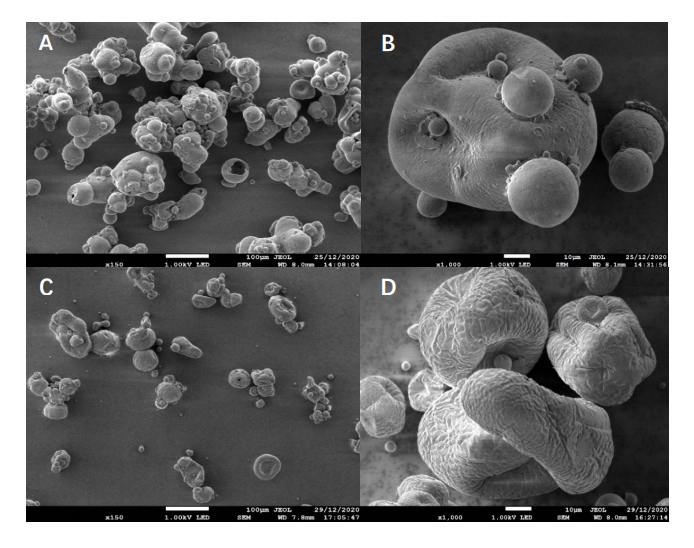 SEM of whole milk powder (A/B) and skimmed milk powder (C/D) of brand Y (magnifications are 150x and 1000x from left to right)