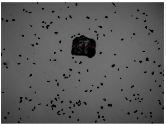 The coarse state of 4#_Mixed via BeVision S1 Image Particle Size Analyzer