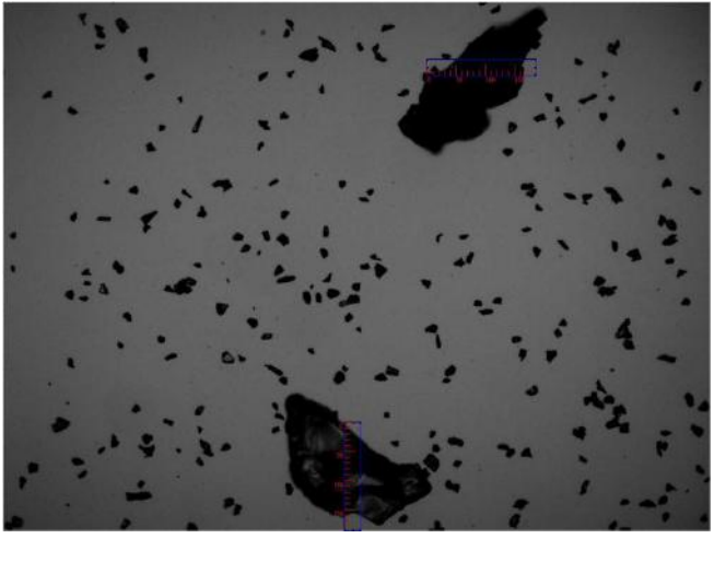 The coarse state of 4#_Mixed via BeVision S1 Image Particle Size Analyzer