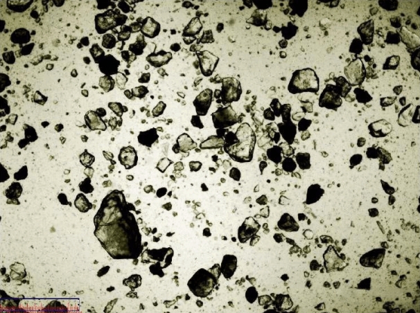 images of Soil and Geological Particle