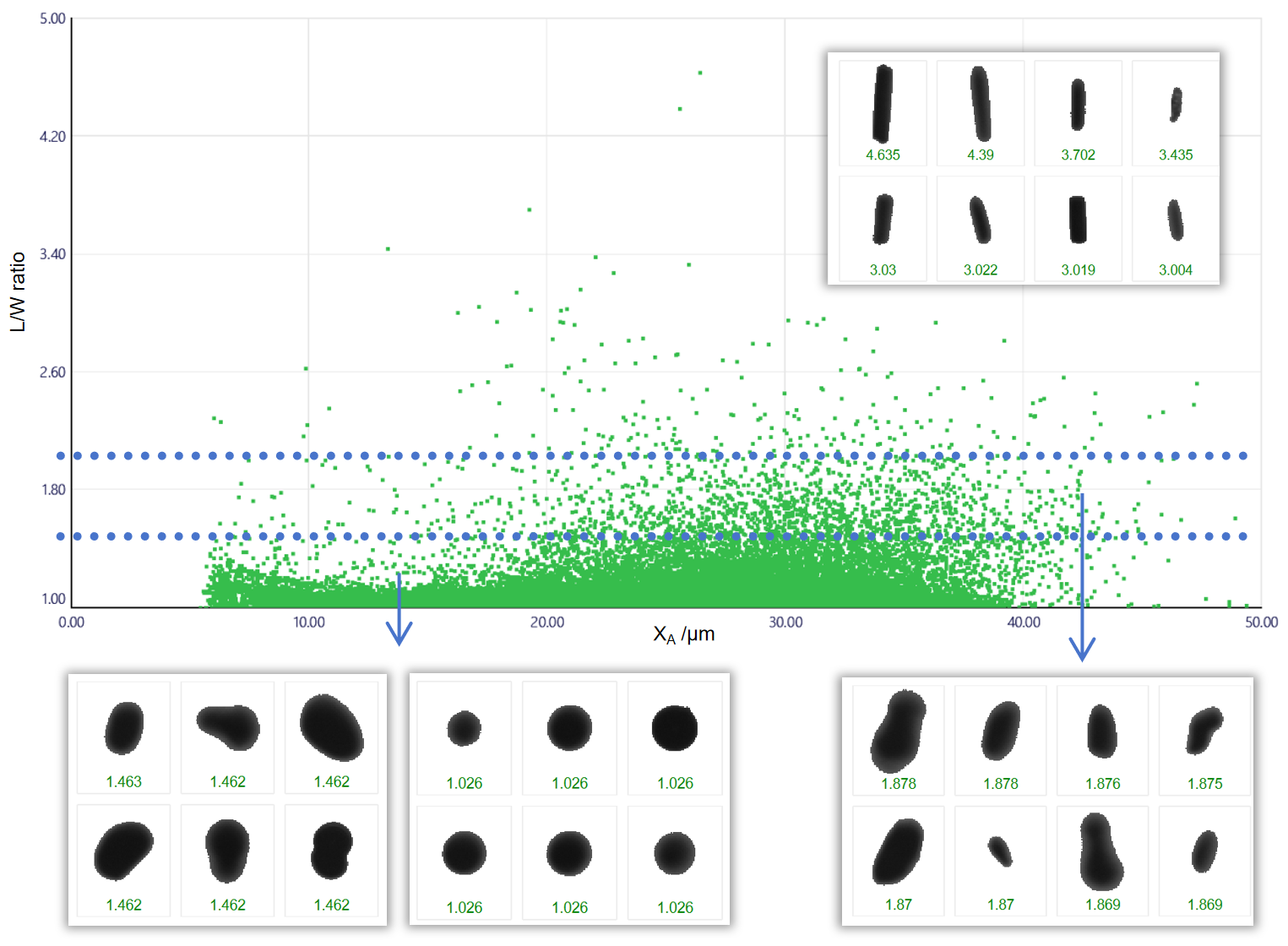 Figure 4. Area-Equivalent Diameter (XA ) vs. L/W Ratio scatter plot of SAC powder  